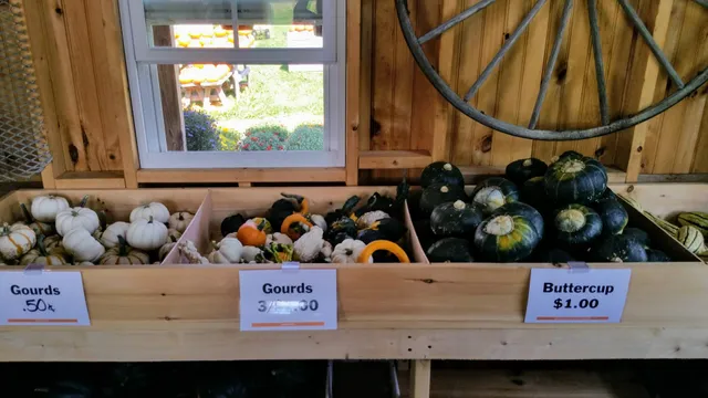 The Pumpkin Stand