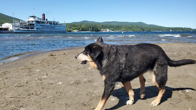 Lake George Dog Beach