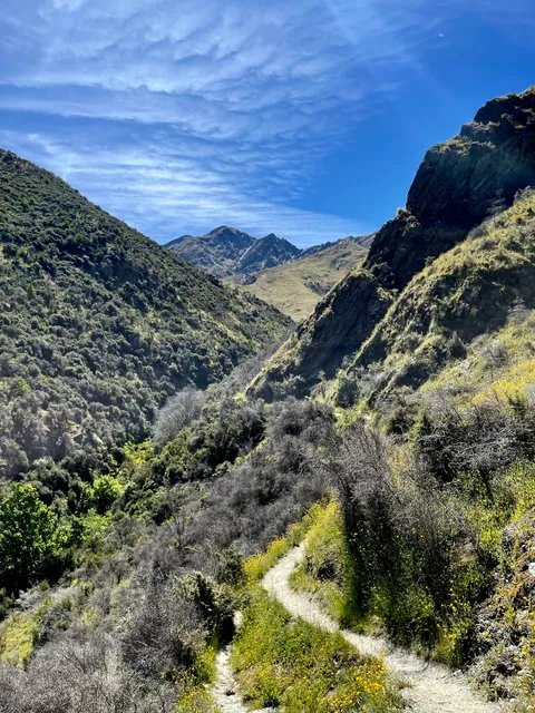 Arrow River Trail / Bush Creek Trail / Big Hill Trail / Sawpit Gully Trail