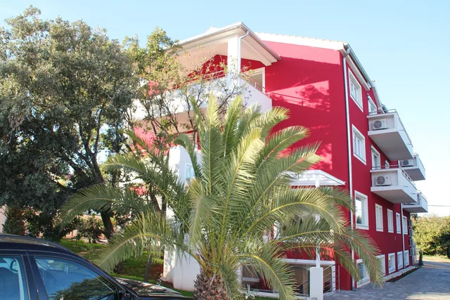 Pansion Cherry Blossom