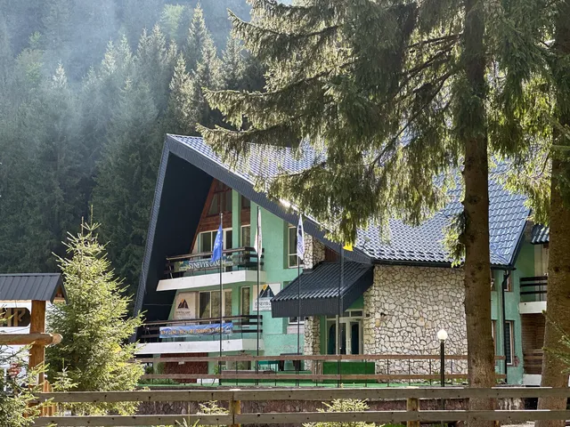 Synevyr Camp - Дитячий табір в Карпатах