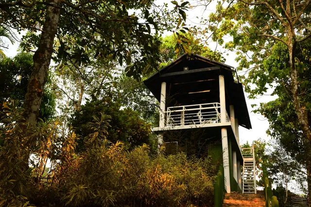 Cloudy Cove, Wayanad