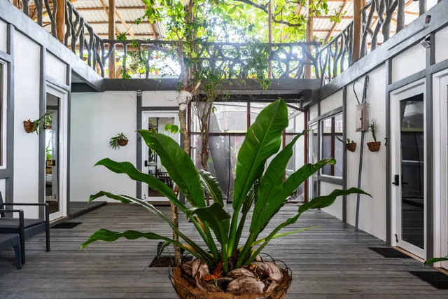 Hotel El Deseo Serendipity