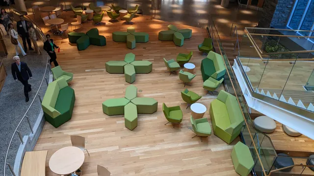 Biomedical Sciences and Engineering