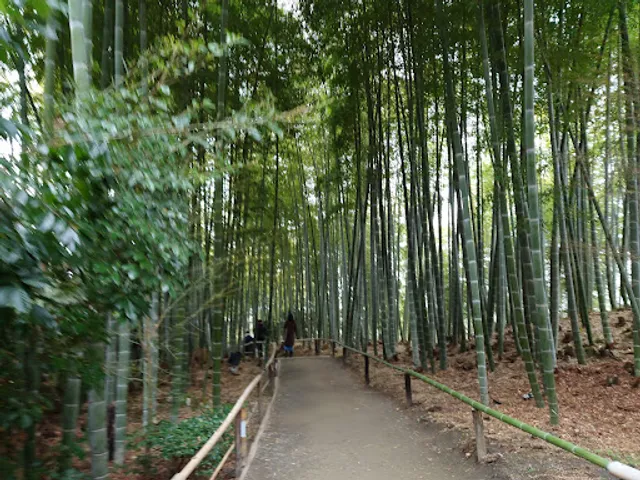 Kōdaiji Temple Bamboo Forest