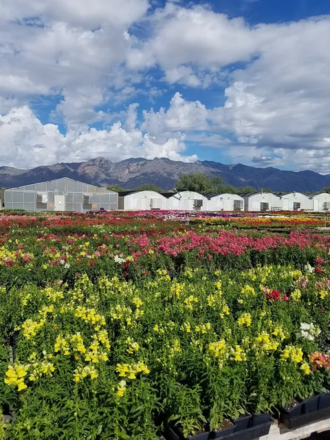 Green Lady Hydroponics