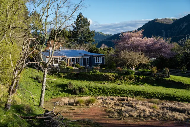 Mahaanui Farmstay Experience