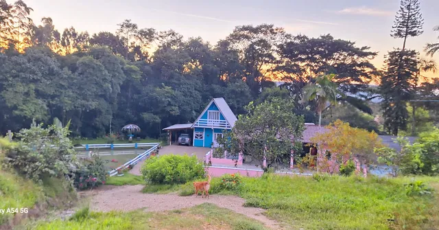 Pousada Sítio Caminho das Flores