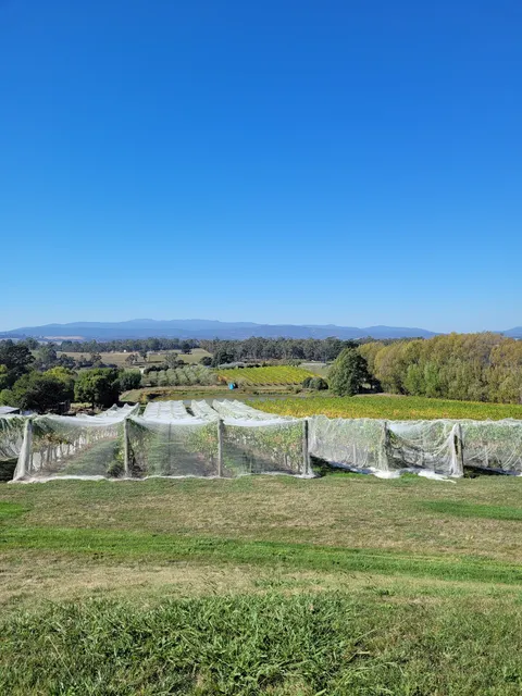 Jinglers Creek Vineyard