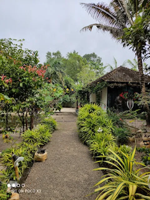 Nettle Trees Farm Stay