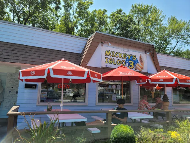 Mickey's Igloo 3