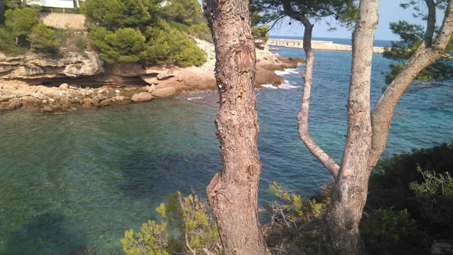 Apartament Mi Morena