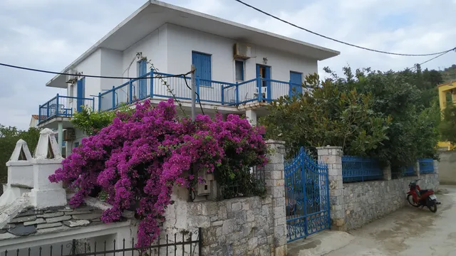 Smile Stella Studios