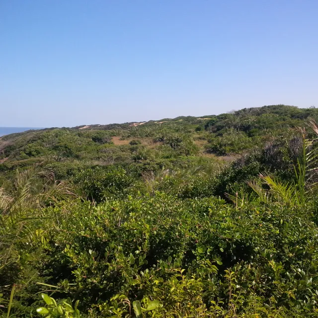 place image