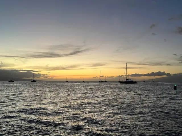 Sail Maui