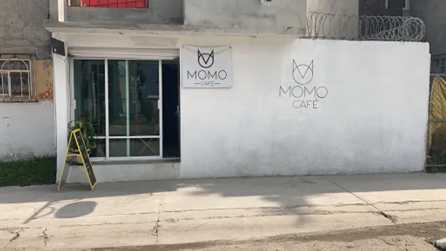 Momo Café