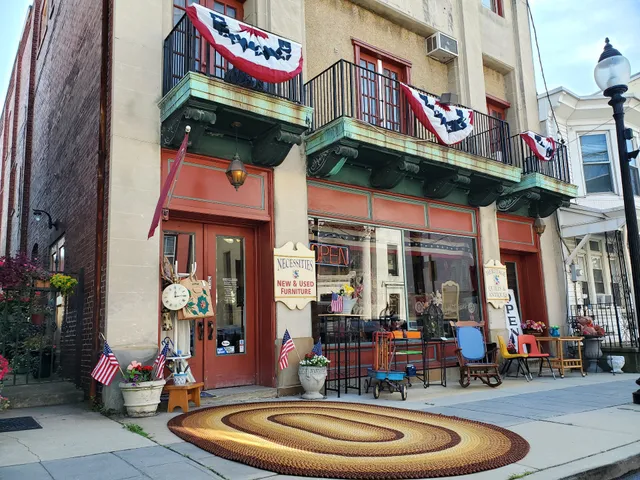 Necessities New & Used -Thrift Vintage Antiques & Clothing