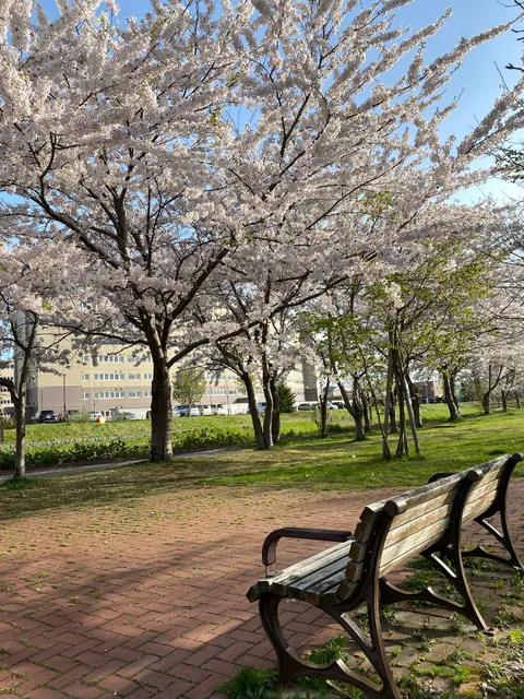 Takuhoku Ikiiki Park
