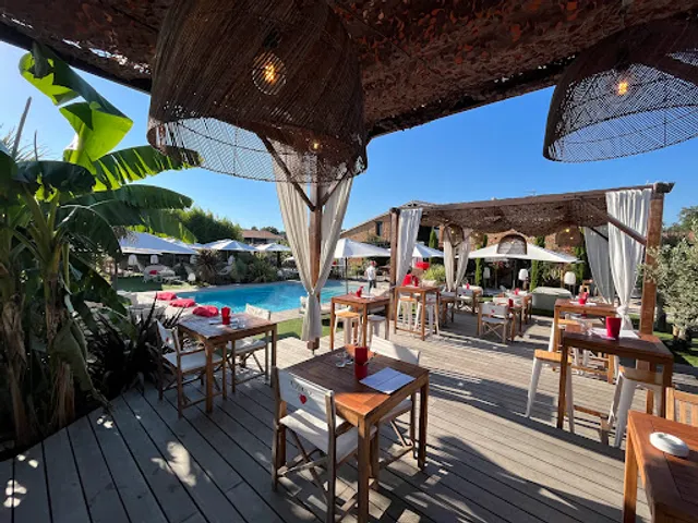 Coco les pieds dans l'eau