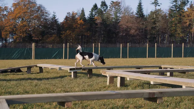 Unleashed Dog Parks - East Lothian