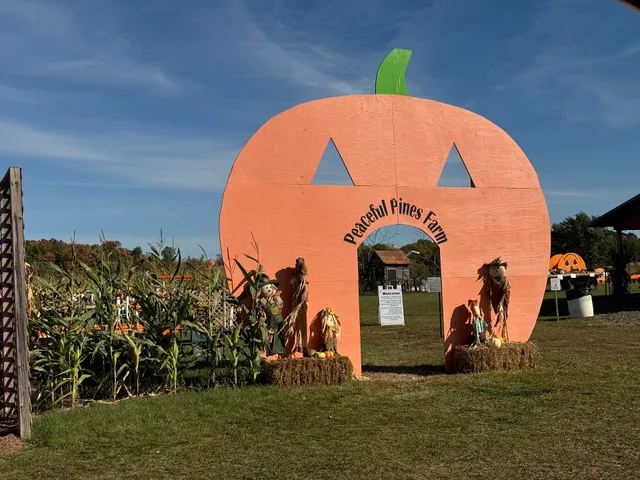 Peaceful Pines Pumpkin Patch & Apple Orchard