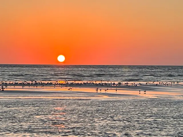 Siesta Key Watersports