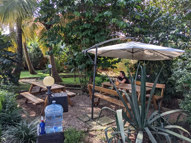 Wabenzi's New Black Forest