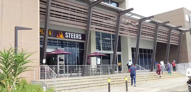 Steers