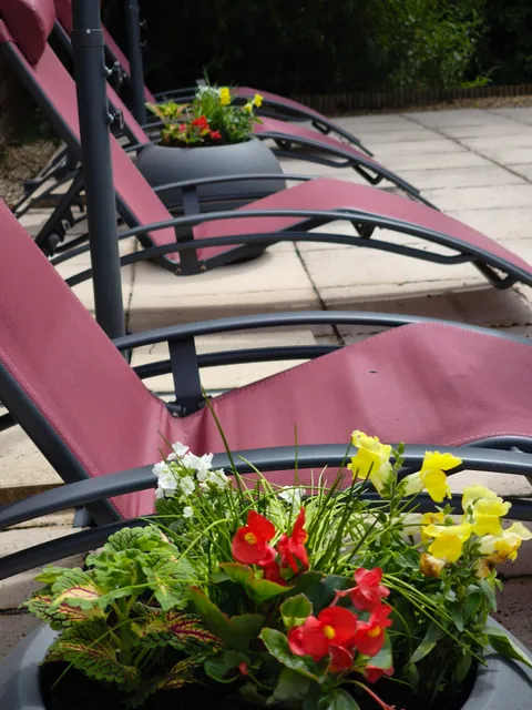 Raisin et Toile - French Amercian Retreat