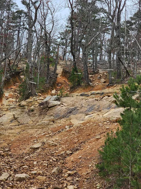 Choccolocco Mountain