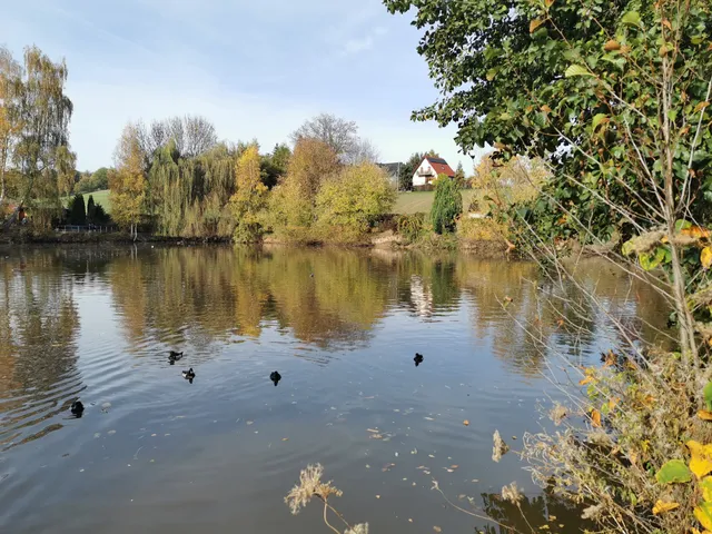 Enclosure forest road e. V.