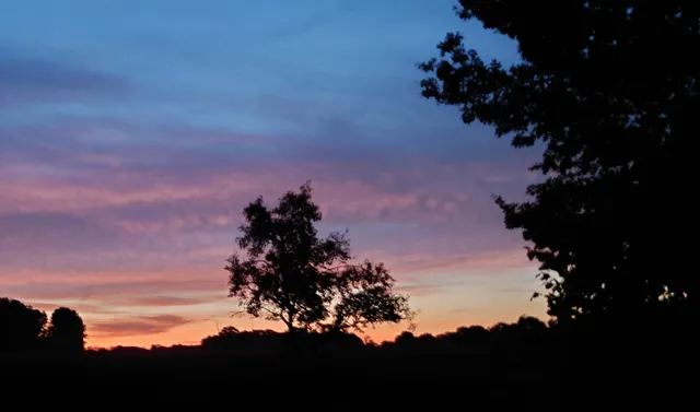 Ferienwohnung Kiebitzheide