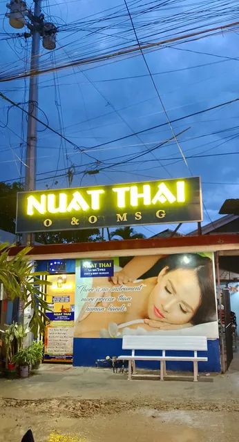 Nuat Thai Moalboal- Cebu