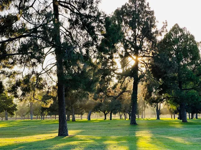 El Dorado Park, Olympic Grove