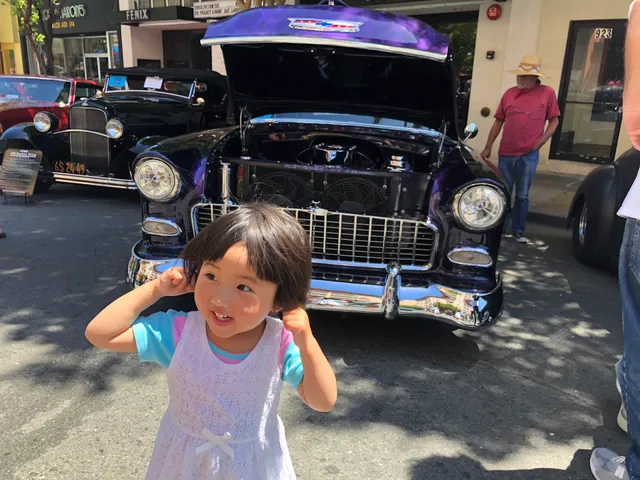 Mill Valley Film Festival