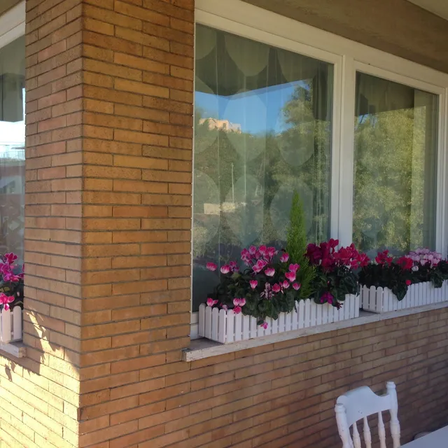 Rome Sweet Home Vatican