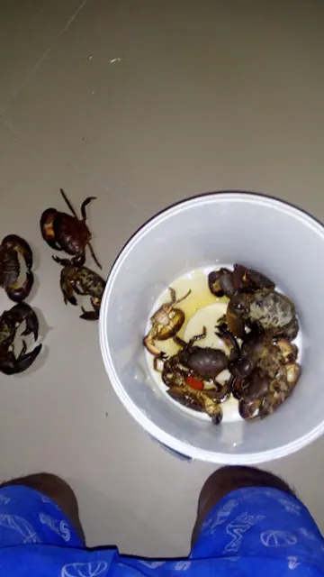 Khrua Chai Thala Restaurant