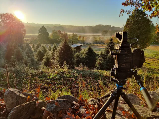 Film Haven Productions