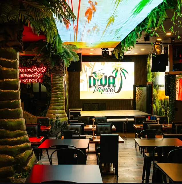 DIVA TROPICAL LOUNGE