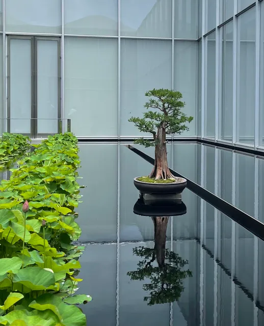North Carolina Museum of Art