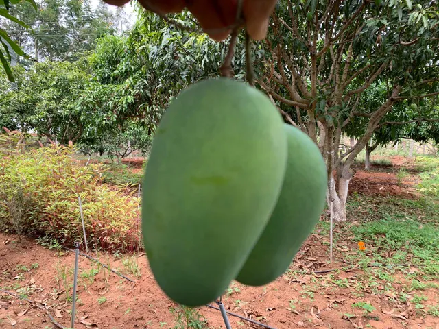 GreenDNA India Pvt Limited