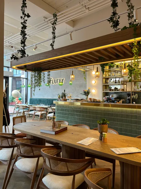 Fluffy Cafe/Restaurant