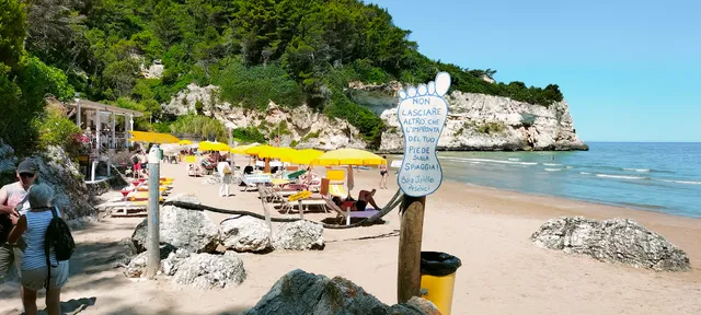 Villaggio Turistico Camping Parco Degli Ulivi