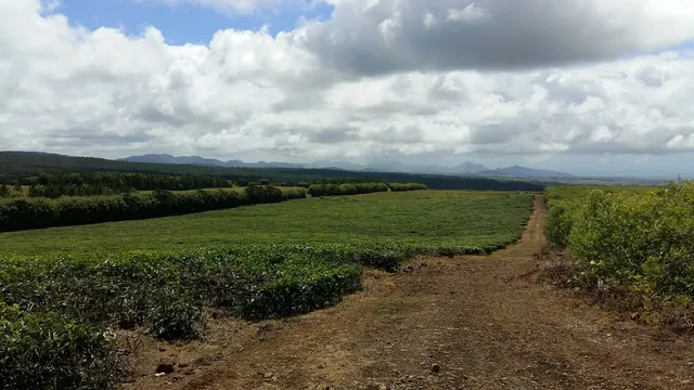 Domaine des 7 Vallées
