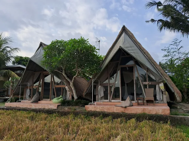 Padi Shack & Segitiga Haus