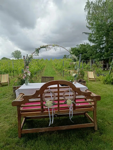 Weinhandwerk Bio-Weingut & Buschenschank Heuriger