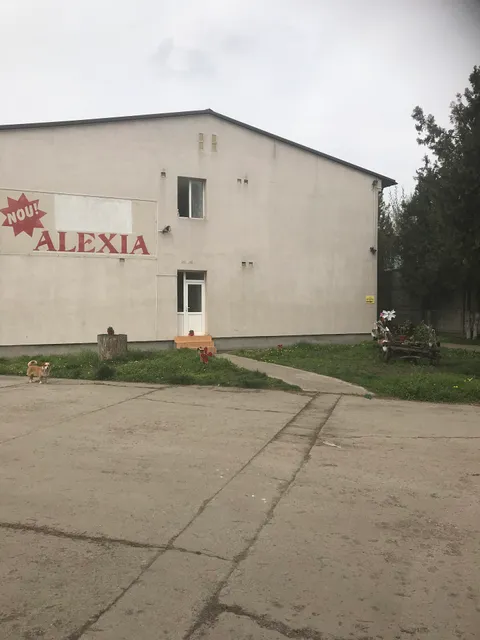 Hostel Alexia