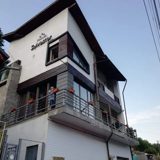 Pensiunea Sylvester Azuga