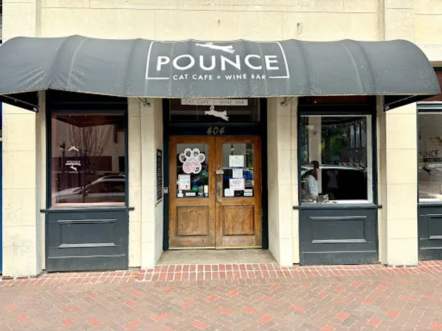 Pounce Cat Cafe