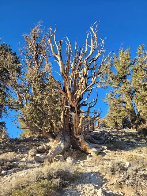 Discovery Trail Loop